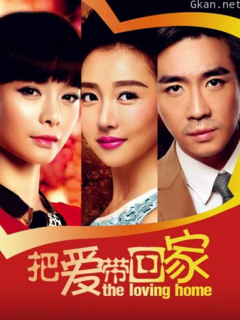 把爱带回家 TV版
