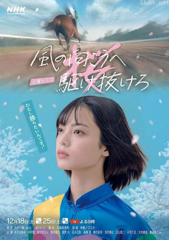 向着风的那边奔跑吧