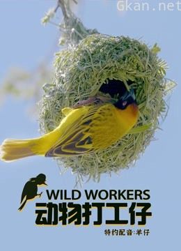 动物打工仔