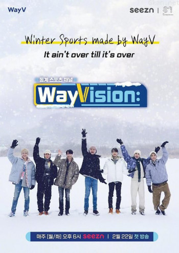WayVision 2