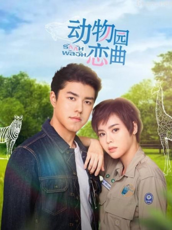 动物园恋曲 DVD版