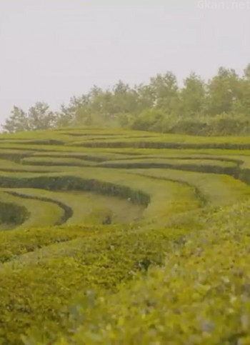 制作工厂,万物皆可制造