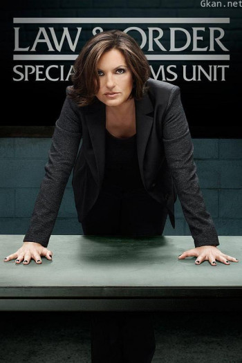 法律与秩序：特殊受害者 第十六季