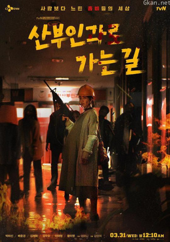 走向妇产科之路