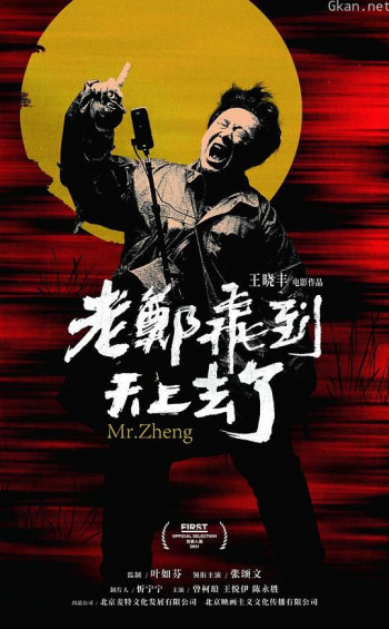 老郑飞到天上去了