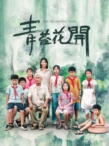 青苔花开