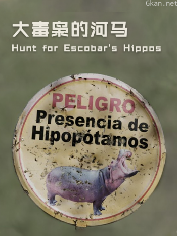 大毒枭的河马