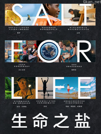 生命之盐