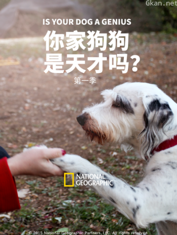 你家狗狗是天才吗？ 第一季