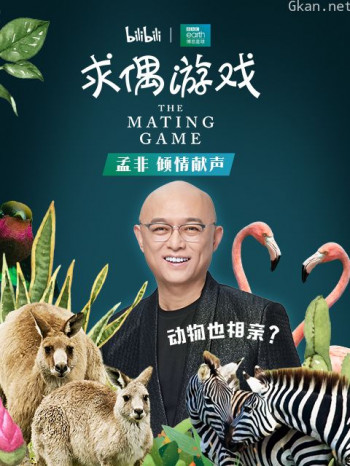 求偶游戏孟非配音版