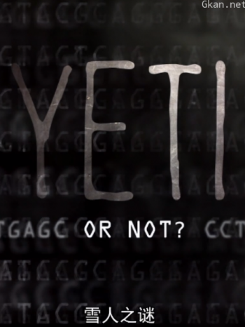 雪人之谜