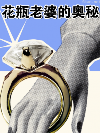 花瓶老婆的奥秘