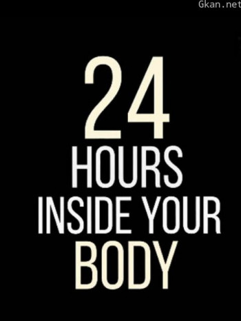 24小时人体奥秘