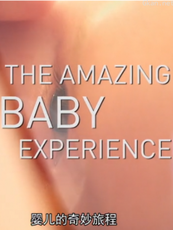 宝宝的奇妙旅程