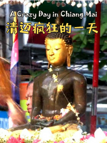 清迈疯狂的一天