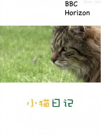 地平线系列:小猫日记