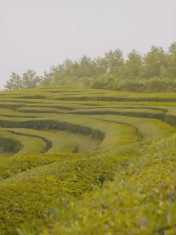 制作工厂，万物皆可制造