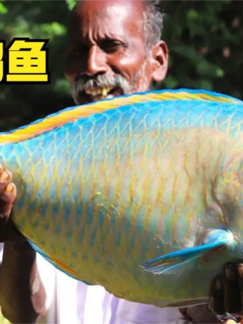 印度乡村美食纪录片