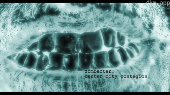 细菌: 中心城市蔓延