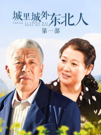 城里城外东北人第1部
