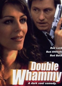 双重重击2001