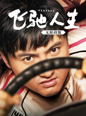 飞驰人生无障碍版