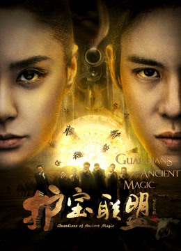 护宝联盟 第一季