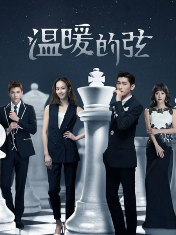 温暖的弦DVD版