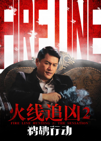 火线追凶2：鹈鹕行动