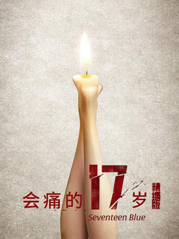 会痛的17岁精编版