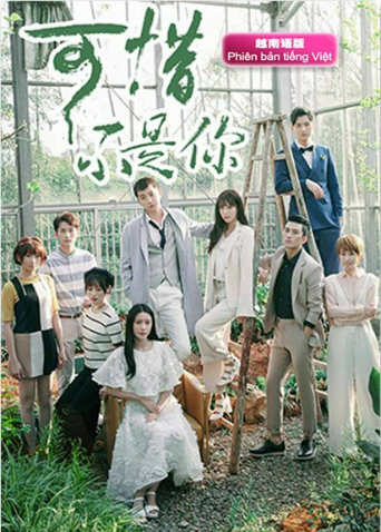 可惜不是你越南语