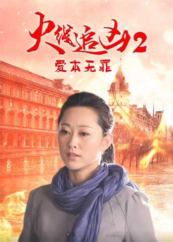 火线追凶2：爱本无罪