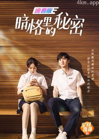 暗格里的秘密速看版