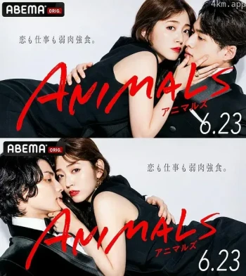 ANIMALS‐アニマルズ‐