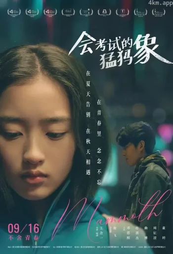 会考试的猛犸象