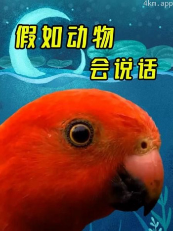 假如动物会说话