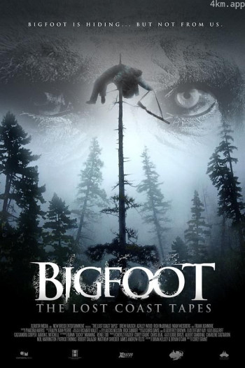 失落海岸的录像带