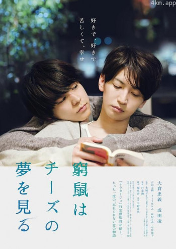 穷途鼠的奶酪梦