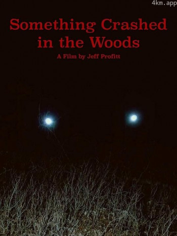 Something Crashed in the Woods