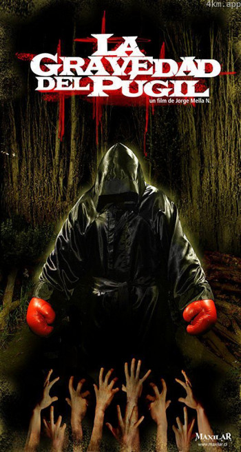 La Gravedad del Púgil