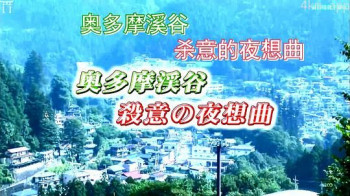 駐在刑事1 奥多摩渓谷・殺意の夜想曲