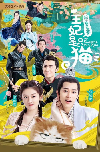 报告王爷,王妃是只猫