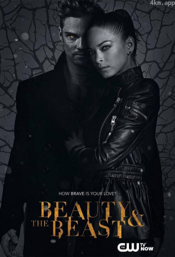 侠胆雄狮 第三季