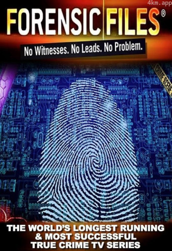 美国法医档案 第一季