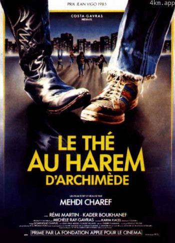 阿基米德后宫的茶