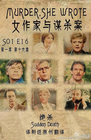 女作家与谋杀案:绝杀