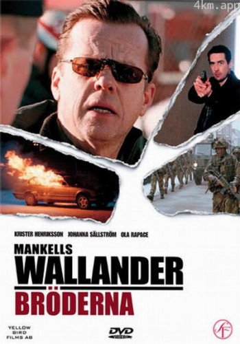 沃兰德探长系列:同胞之恶