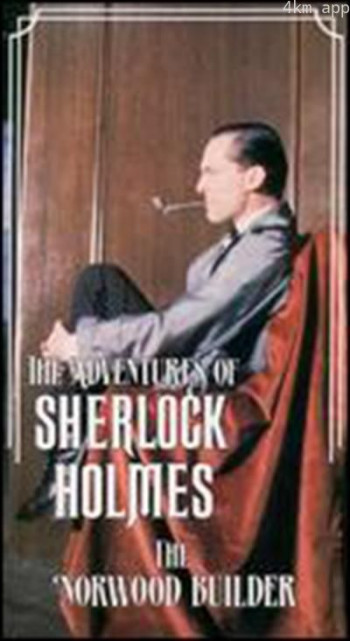 诺伍德的建筑师