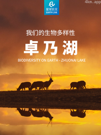 我们的生物多样性——卓乃湖