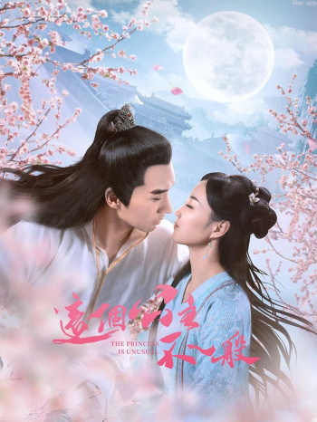 这个公主不一般